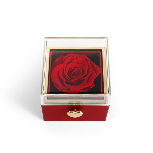 Jeulia Rotating Preserved Rose Jewelry Box for Rings Necklaces