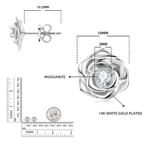 Anryss 925 sterling silver "Insta-style" fresh and minimalist rose gold moissanite stud earrings